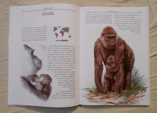Kůs, Knotkovi - Mláďata v ZOO - 1993