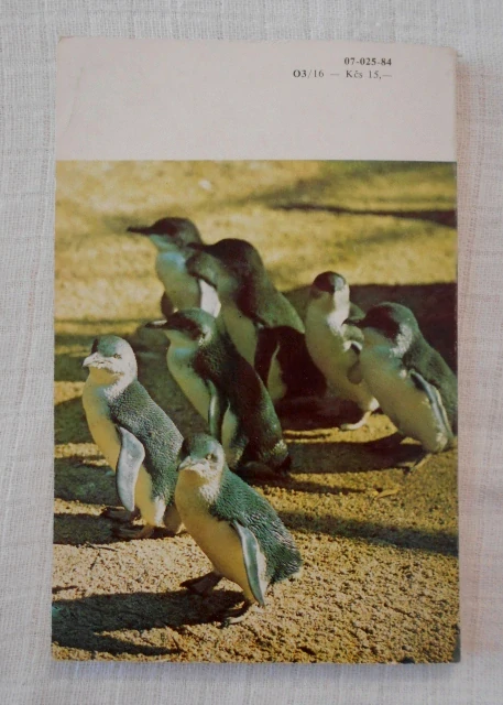 Zdeněk Veselovský - Tučňáci - Zvířata celého světa 10 - 1984