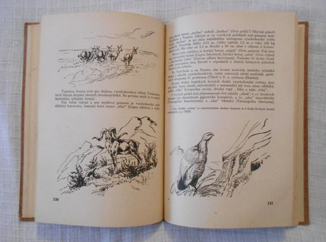 A.M. Brímer-Orlovský - Lovy v SSSR - 1946