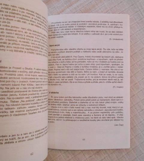 Eva Hlaváčová, Bohumil Sedláček - Český pravopis - 1996