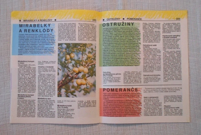 Pinková, Horníková - Ovoce v teplé i studené kuchyni - 1992