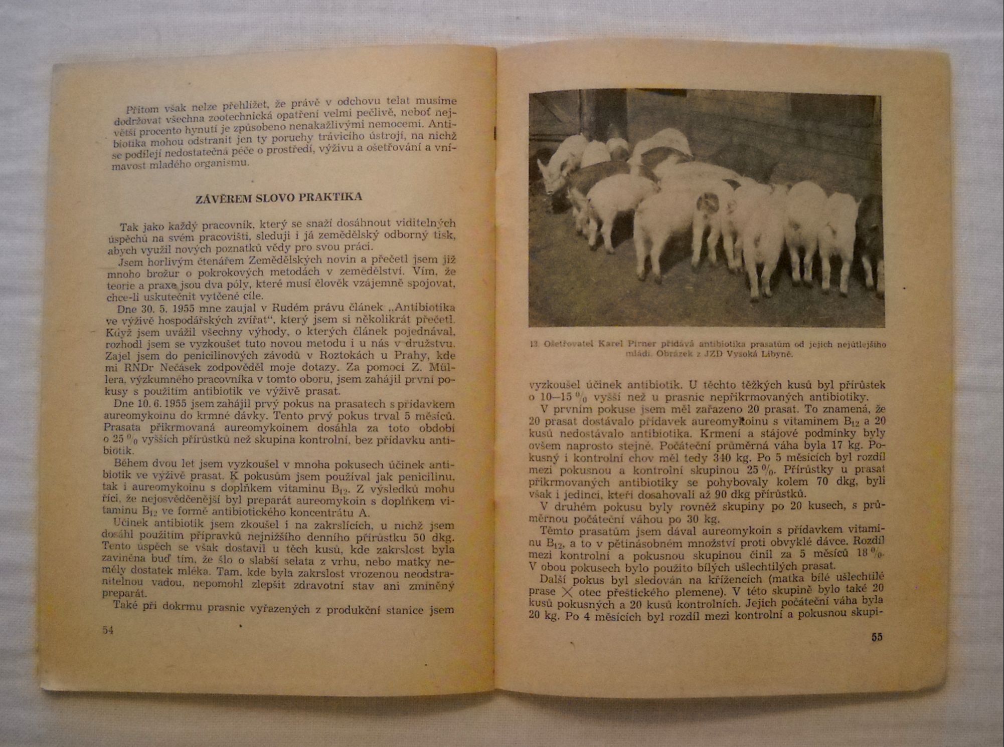 Bohuslav Bauer - Praktické využití antibiotik v živočišné výrobě - Praha 1958