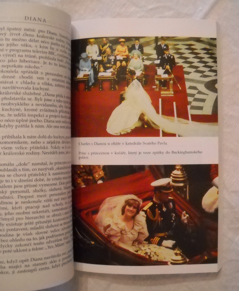Nicholas Davies - Diana Princezna a její manželské maléry - 1992