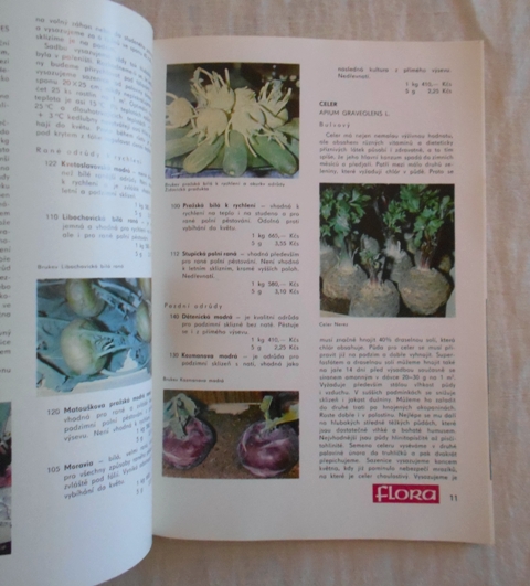 Katalog Sempra ZZS Kroměříž - Flora - 1974