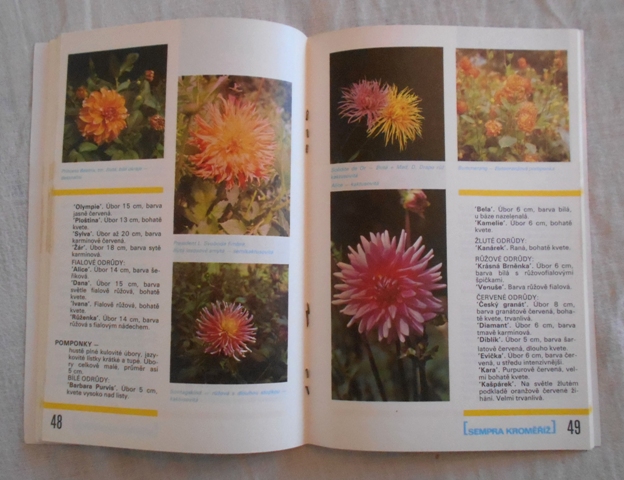 Katalog Sempra ZZS Kroměříž - Růže - 1976
