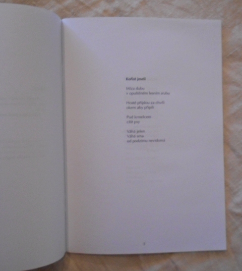 Jaroslav Mazáč - Stín za žalmistou - Přerov 2004