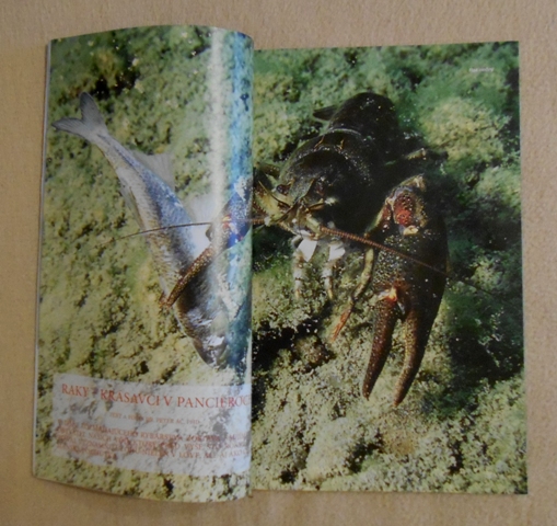 Časopis Sportovní rybář květen-červen 2008
