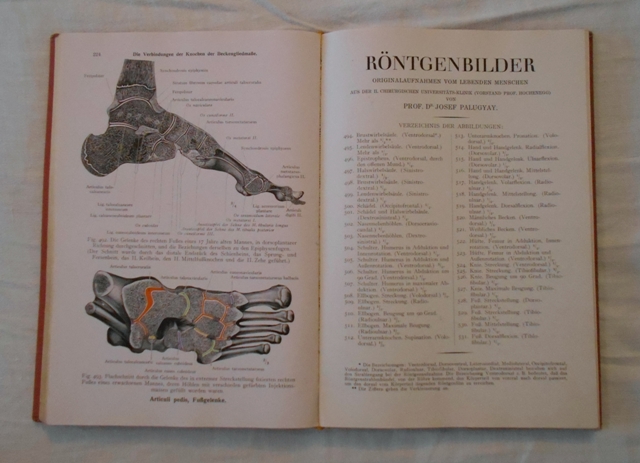 Toldts Anatomischer Atlas für Studierende and Ärzte Erster Band - 1945 - německy