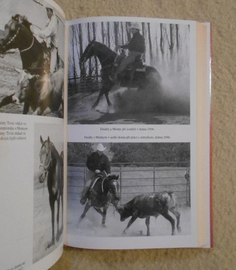 Monty Roberts - Muž, který naslouchá koním - 1999