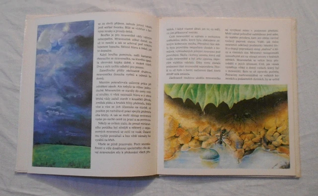 András Tasnádi Kubacska - Mraveneček - 1981