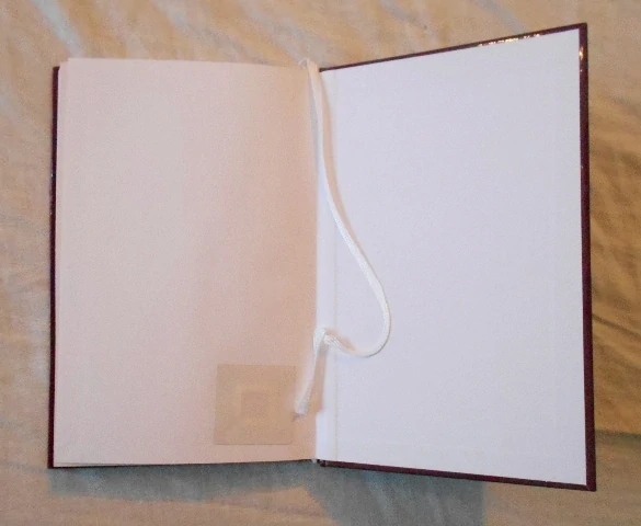 Valja Stýblová - Most Aeskulapů - 2001
