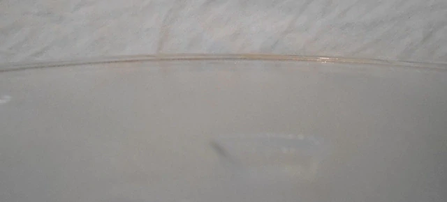Talíř do mikrovlnné trouby - průměr 25,5 cm hnaný - POUŽITÝ
