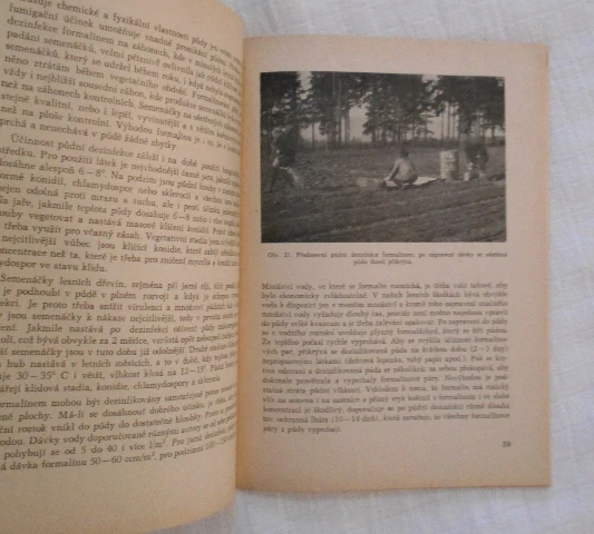 Vlastislav Jančařík - Padání semenáčků v lesních školkách - Lesnické aktuality 3 - 1960