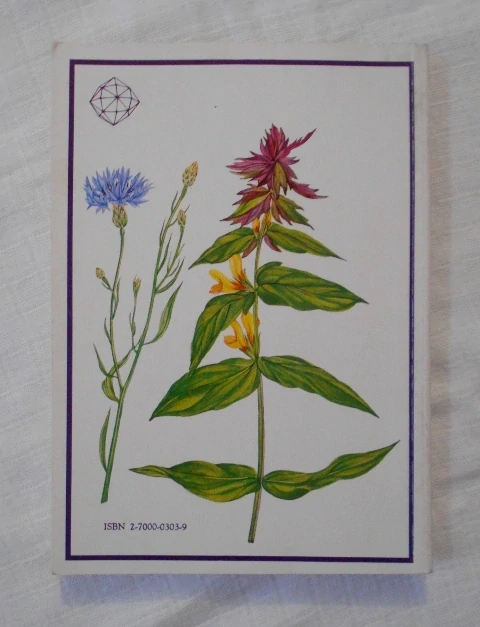 Větvička, Toušová - Plantes des champs et des forêts - 1986 - francouzsky