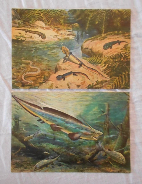 Ilustrace Zdeněk Burian z knihy J. Augusta Ztracený svět - 7 listů - 1968