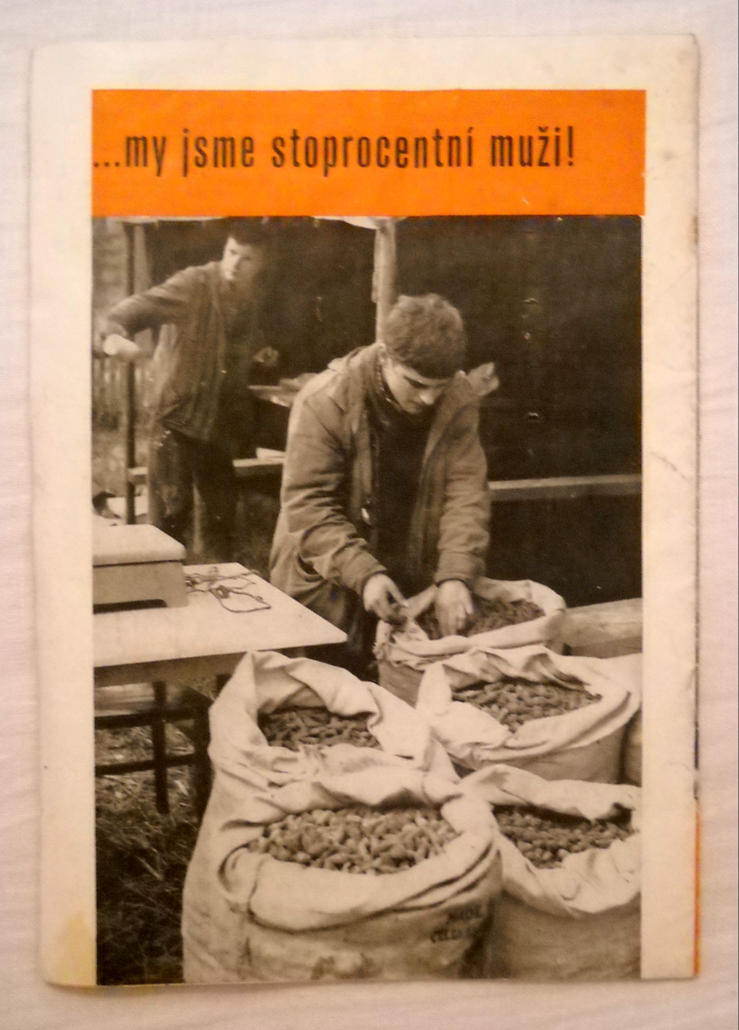 Časopis Zemědělská škola rok 1965 - 66 číslo 6