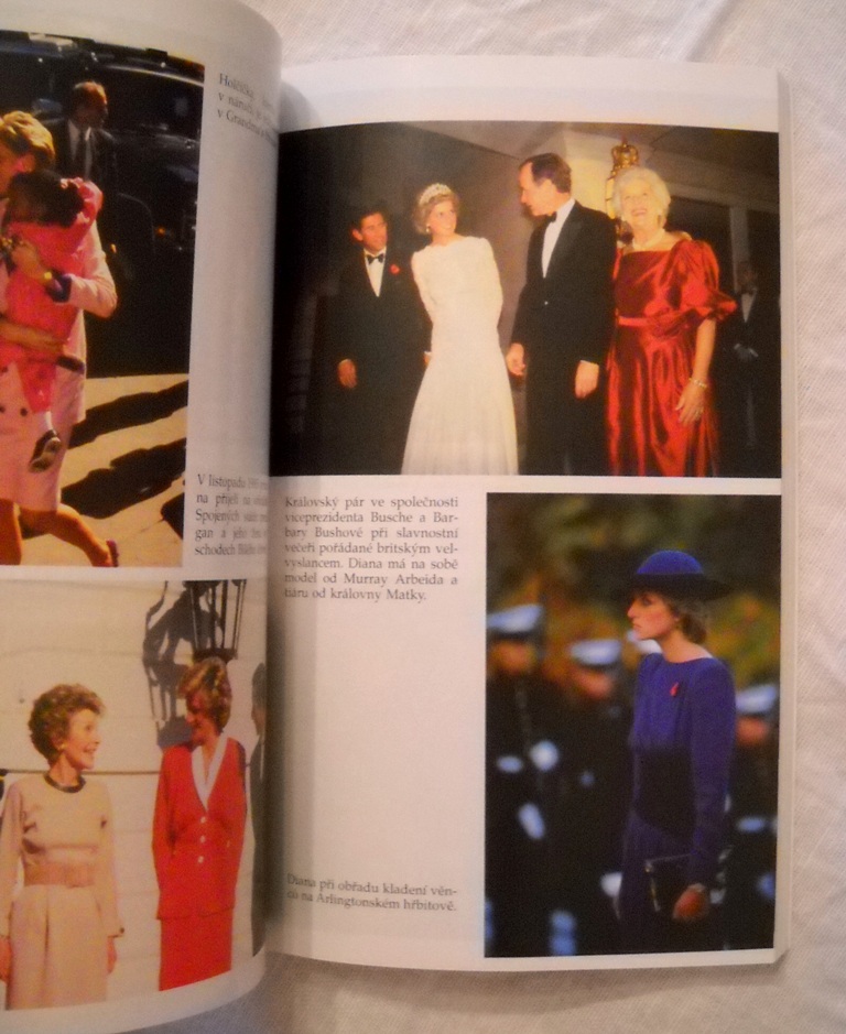 Nicholas Davies - Diana Princezna a její manželské maléry - 1992