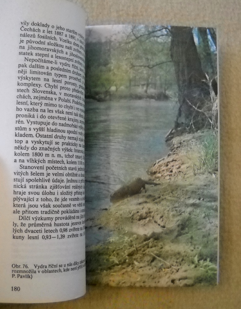 Ivan Heráň - Kunovité šelmy - Zvířata celého světa 9 - 1982