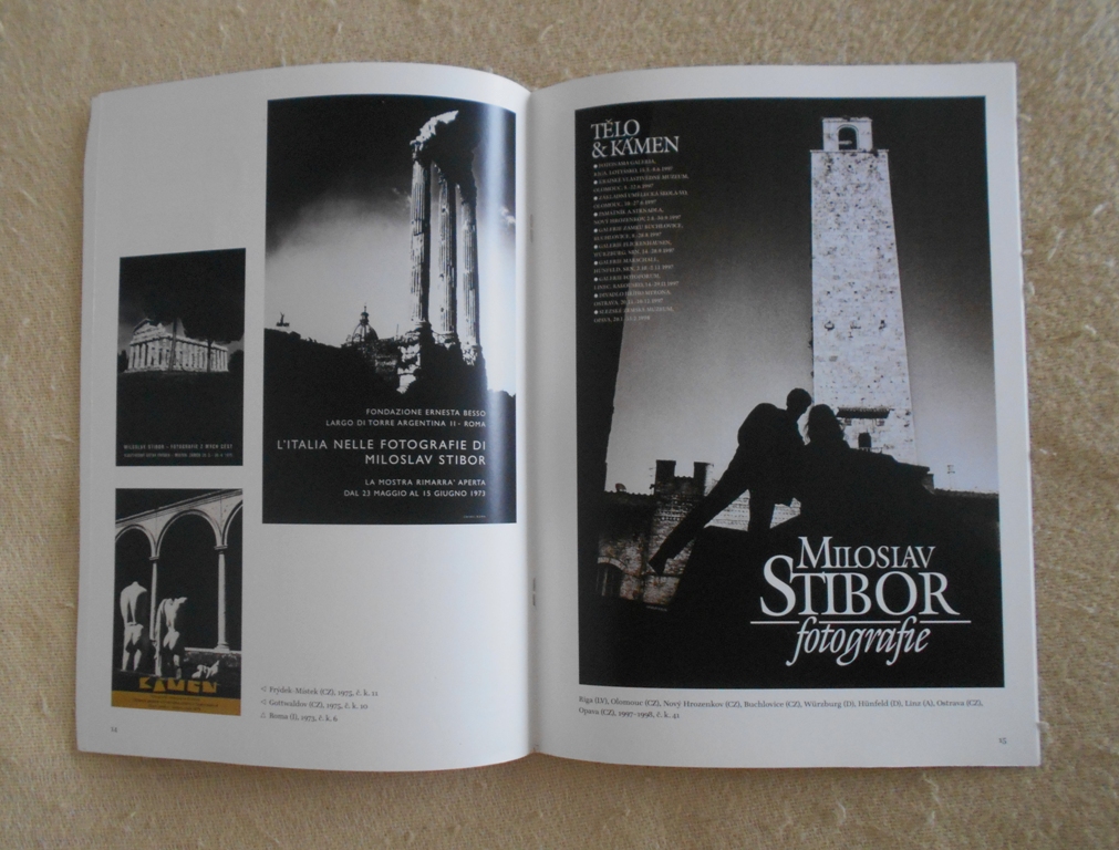 Umění pro ulici i sběratele - katalog k výstavě 2008