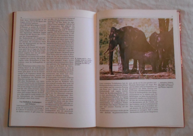 Eberhard Weismann - Revierverhalten und Wanderungen der Tiere - 1978
