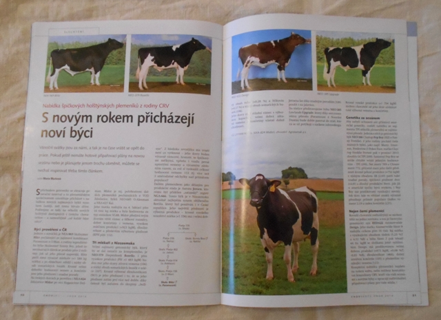 Časopis Chov skotu číslo 1 ročník 11 - únor 2014