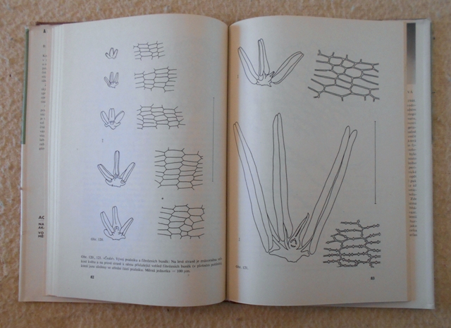 Blanka Rovenská - Anatomický atlas žita - 1973
