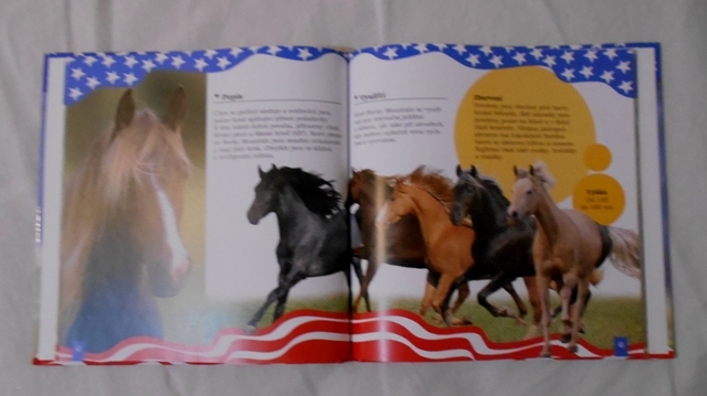 Američtí koně snů - 2005