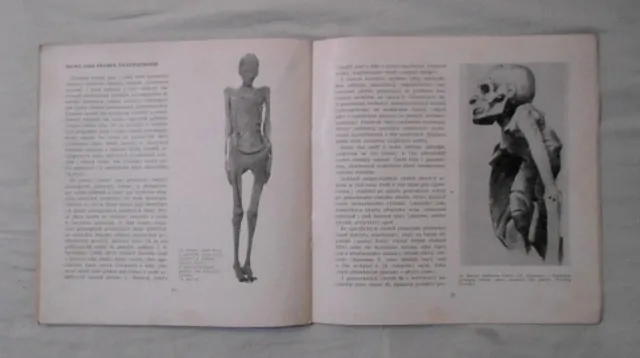 Staroegyptské mumie - katalog výstavy Náprstkovo muzeum Praha 1971