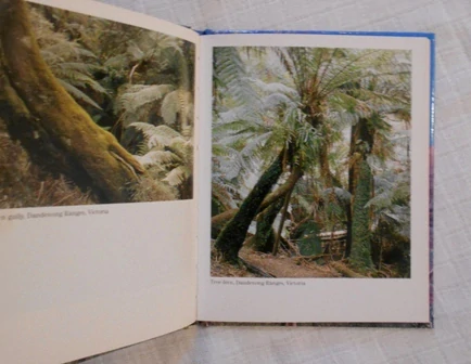 Gary Lewis - Australia A pocket book - 1993 anglicky