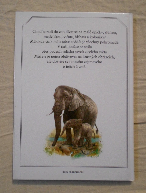 Kůs, Knotkovi - Mláďata v ZOO - 1993