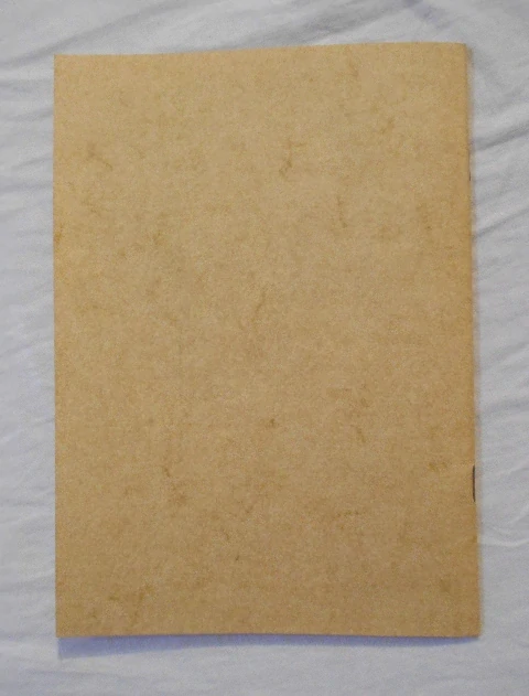 100 let Sboru dobrovolných hasičů v Hrochově 1894-1994