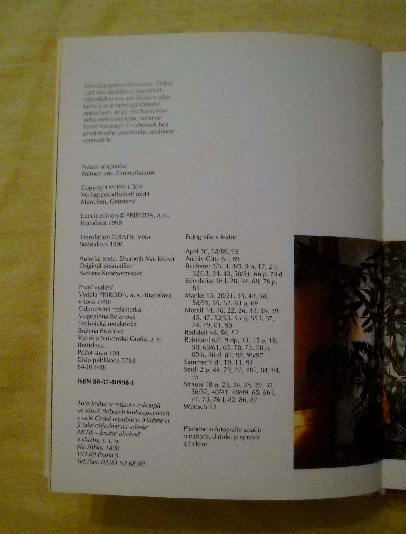 Elisabeth Mankeová - Palmy a stromky do interiéru - 1998