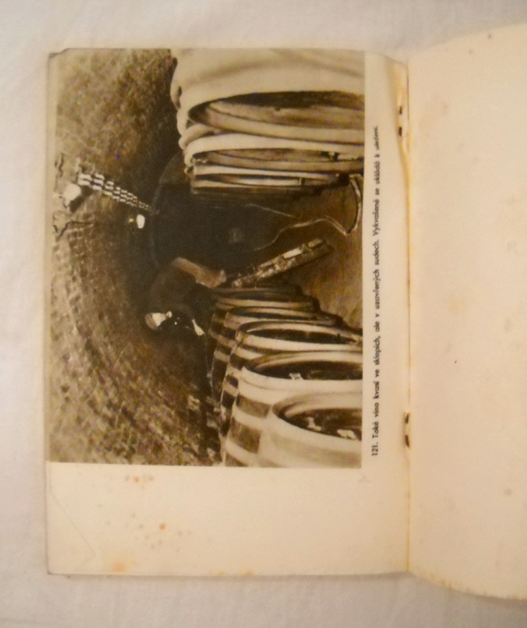 Organická chemie pro čtvrtou třídu středních škol - 1950