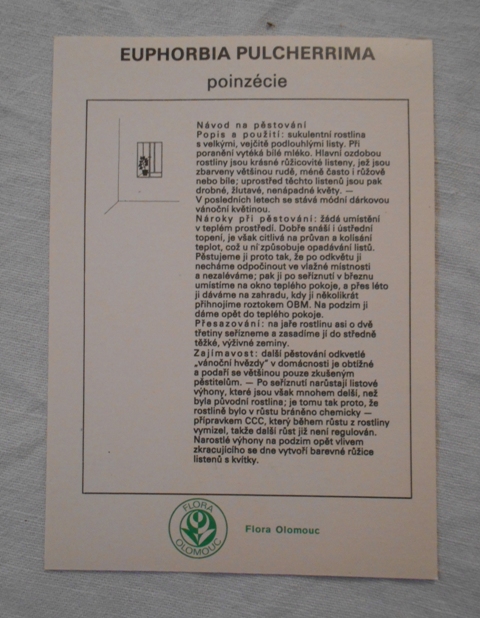 Sada sběratelských karet Pokojové květiny a jejich pěstování - Flora Olomouc