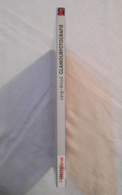 Larg, Wood - Glamourfotografie Die Inszenierung von Schönheit und Erotik - 1998 - německy