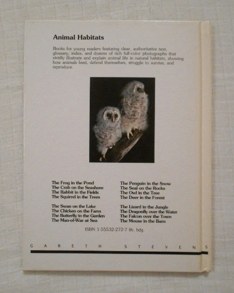 Jennifer Coldrey - The Owl in the Tree - 1988 anglicky