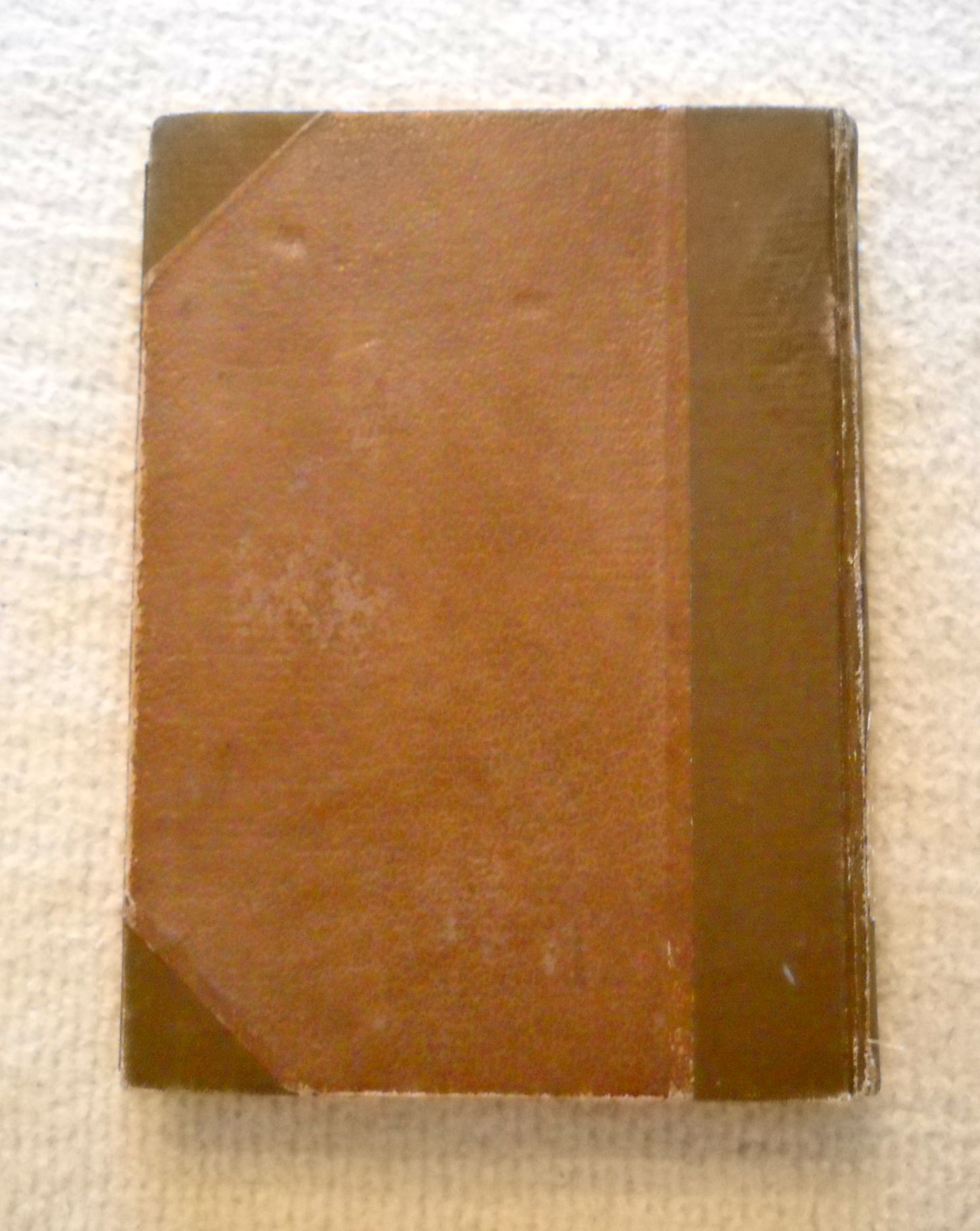 Alphonse Daudet - Sapho - Praha 1893
