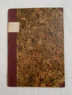 Evžen Štern - Názory T.G. Masaryka - Praha 1918