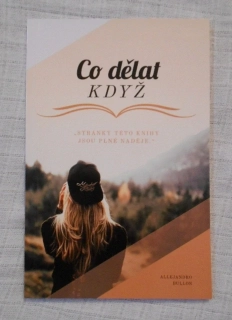 Allejandro Bullon - Co dělat když - 2019