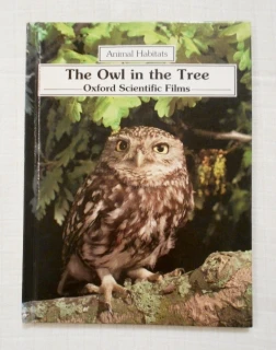 Jennifer Coldrey - The Owl in the Tree - 1988 anglicky