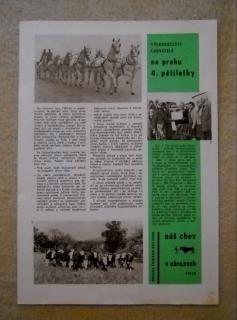 Kvalita chovu - Kvalita krmivové základny - Příloha časopisu Náš chov č. 12/1965