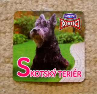 Sběratelská magnetka řada Kostíci Psi fotoatlas - Skotský teriér