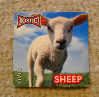 Sběratelská magnetka řada Kostíci Zvířátka angličtina - Ovce Sheep