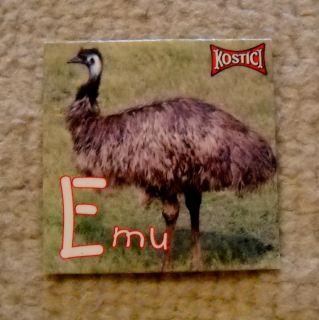 Sběratelská magnetka řada Kostíci zvířecí abeceda - E Emu