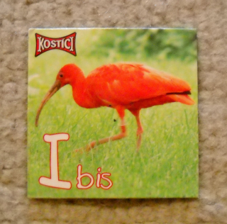 Sběratelská magnetka řada Kostíci zvířecí abeceda - I Ibis